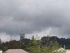 thumbs/NZ_Riki_0988.jpg