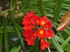 thumbs/NZ_Riki_1010.jpg
