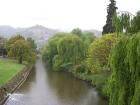 thumbs/NZ_Riki_1011.jpg
