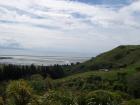 thumbs/NZ_Riki_1016.jpg