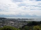 thumbs/NZ_Riki_1017.jpg