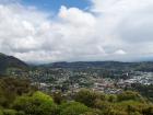 thumbs/NZ_Riki_1020.jpg