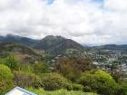 thumbs/NZ_Riki_1021.jpg