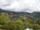 thumbs/NZ_Riki_1022.jpg