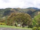thumbs/NZ_Riki_1023.jpg