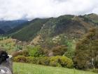 thumbs/NZ_Riki_1024.jpg