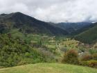 thumbs/NZ_Riki_1025.jpg