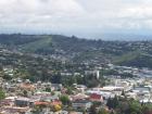 thumbs/NZ_Riki_1030.jpg