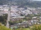 thumbs/NZ_Riki_1031.jpg