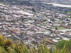 thumbs/NZ_Riki_1032.jpg