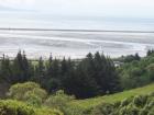 thumbs/NZ_Riki_1033.jpg