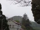 thumbs/NZ_Riki_1040.jpg