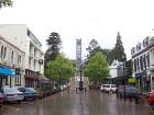 thumbs/NZ_Riki_1041.jpg