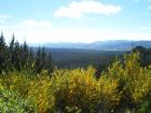 thumbs/NZ_Riki_1049.jpg