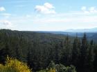 thumbs/NZ_Riki_1052.jpg