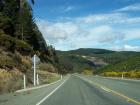 thumbs/NZ_Riki_1055.jpg