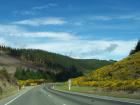 thumbs/NZ_Riki_1056.jpg