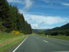 thumbs/NZ_Riki_1057.jpg