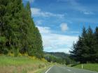 thumbs/NZ_Riki_1058.jpg