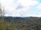 thumbs/NZ_Riki_1059.jpg