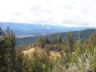 thumbs/NZ_Riki_1060.jpg