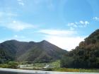 thumbs/NZ_Riki_1064.jpg