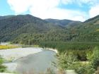 thumbs/NZ_Riki_1065.jpg