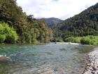 thumbs/NZ_Riki_1070.jpg