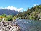 thumbs/NZ_Riki_1071.jpg