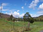 thumbs/NZ_Riki_1073.jpg