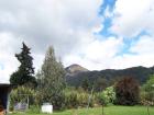 thumbs/NZ_Riki_1076.jpg