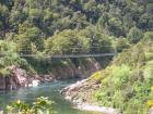 thumbs/NZ_Riki_1079.jpg