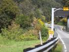 thumbs/NZ_Riki_1080.jpg