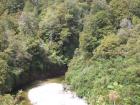 thumbs/NZ_Riki_1081.jpg