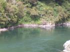 thumbs/NZ_Riki_1082.jpg
