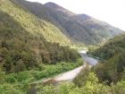 thumbs/NZ_Riki_1084.jpg