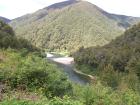 thumbs/NZ_Riki_1085.jpg