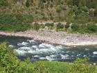 thumbs/NZ_Riki_1088.jpg