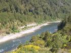 thumbs/NZ_Riki_1089.jpg