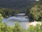 thumbs/NZ_Riki_1091.jpg