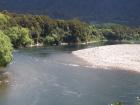 thumbs/NZ_Riki_1092.jpg