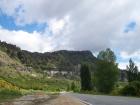 thumbs/NZ_Riki_1094.jpg