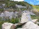 thumbs/NZ_Riki_1095.jpg
