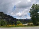thumbs/NZ_Riki_1096.jpg