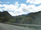 thumbs/NZ_Riki_1097.jpg