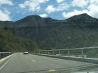 thumbs/NZ_Riki_1098.jpg