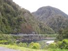 thumbs/NZ_Riki_1100.jpg