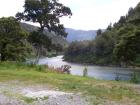 thumbs/NZ_Riki_1101.jpg