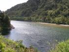 thumbs/NZ_Riki_1104.jpg