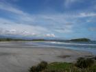 thumbs/NZ_Riki_1106.jpg